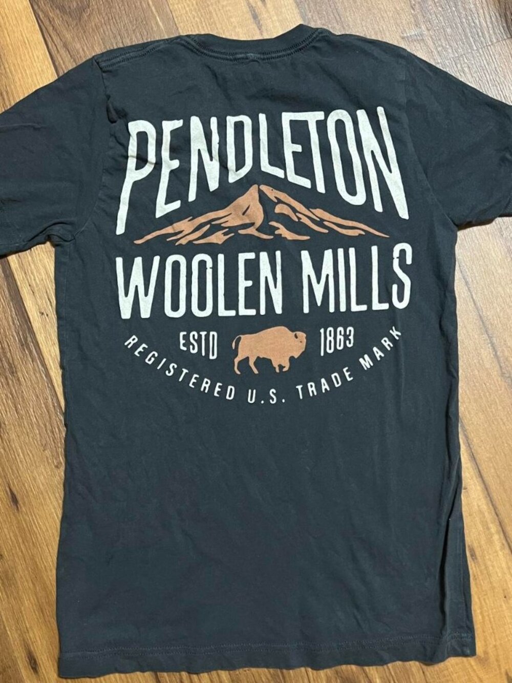 Pendleton T-Shirt Mens Size Small Graphic Print Buffalo Outdoor Workwear Casual